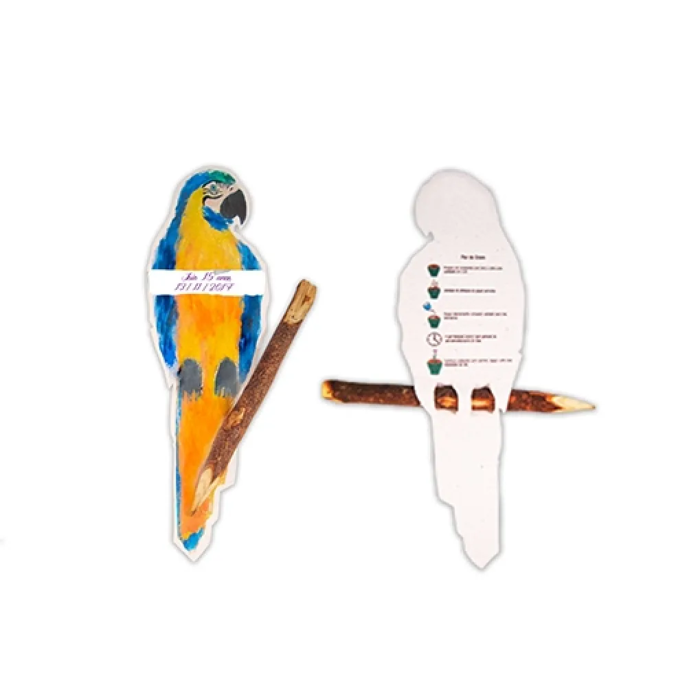 Papel semente Animais da Floresta-BC0021SE