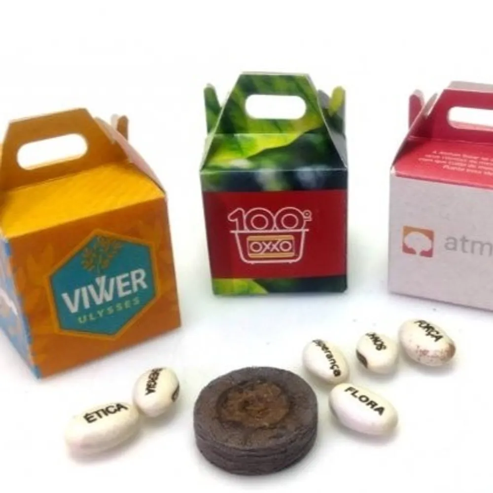 SEMENTE MÁGICA MINI ALÇA-BC0088SE