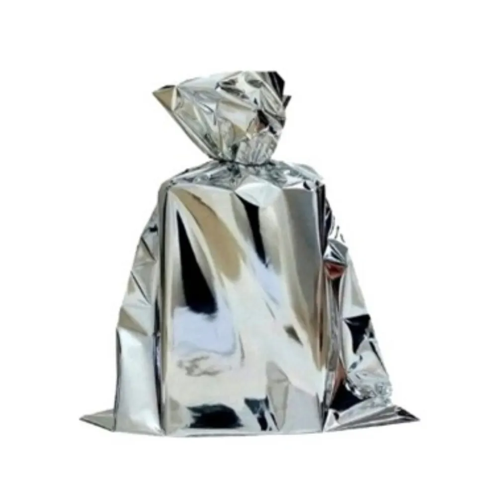 Saco Para Presente Metalizado-SCP01