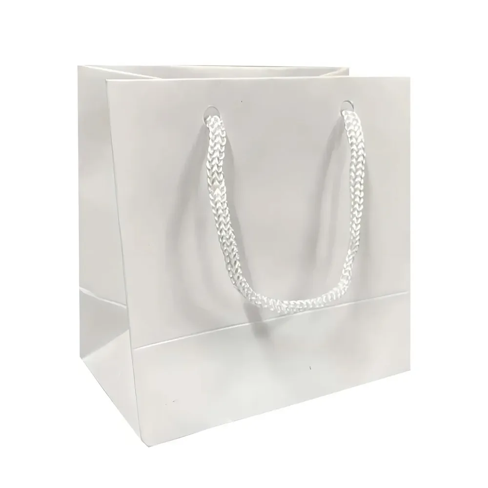 Sacola De Papel Branca-Sacola-P