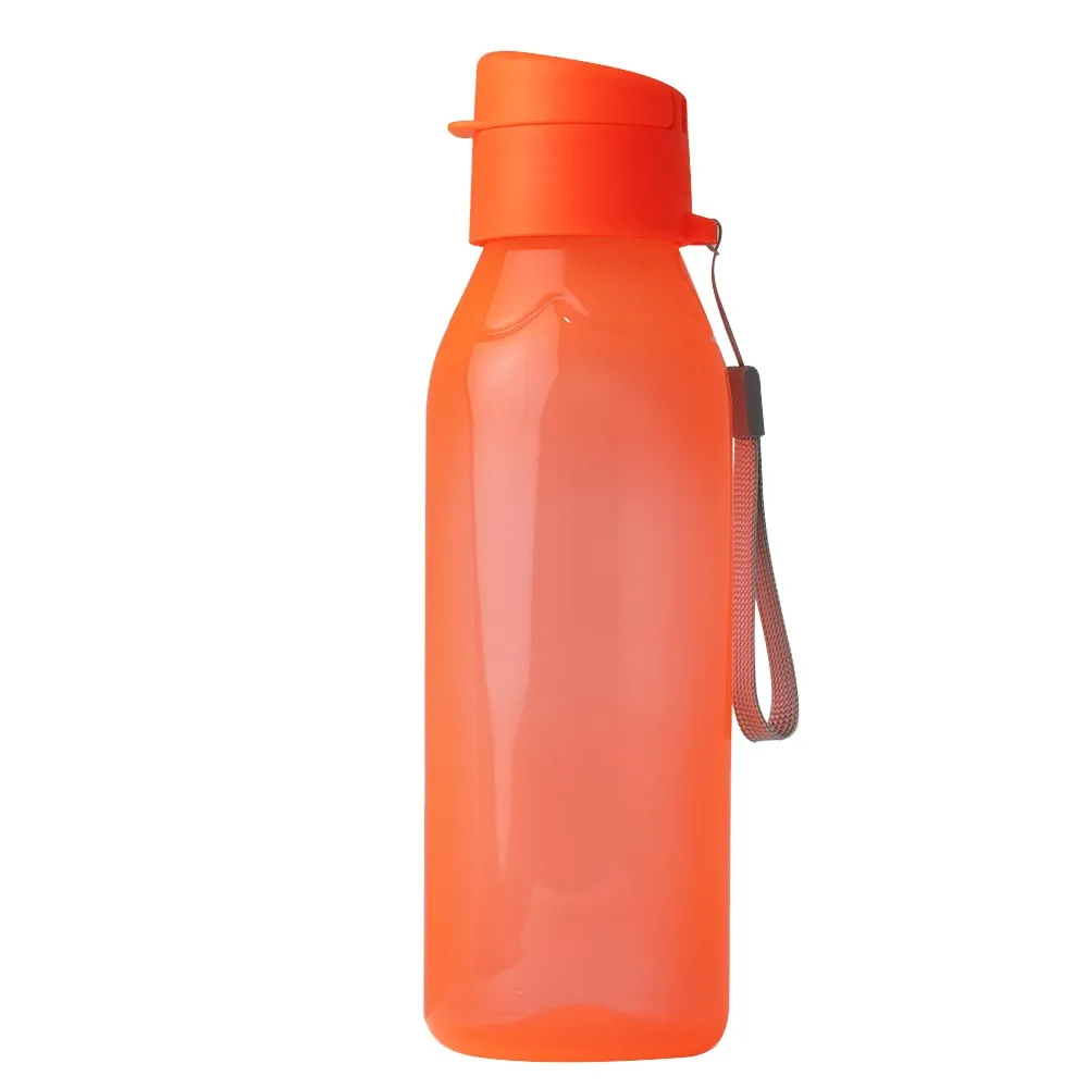 Squeeze Plástica 700ml-18556