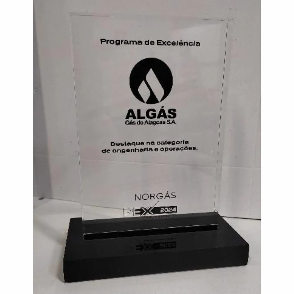 Troféu Acrílico 10x15 cm