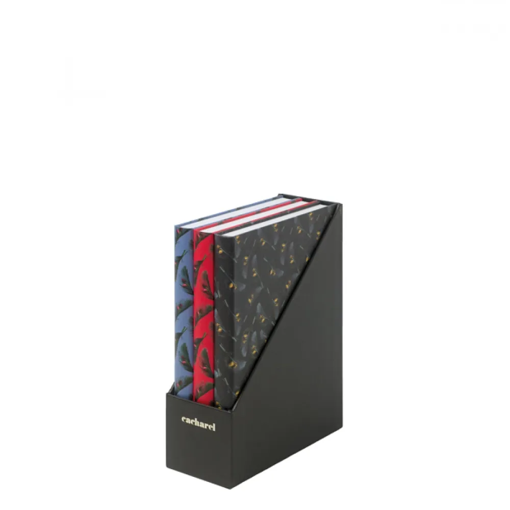 VICTOIRE. Kit 3 cadernos de capa dura COLORIDO