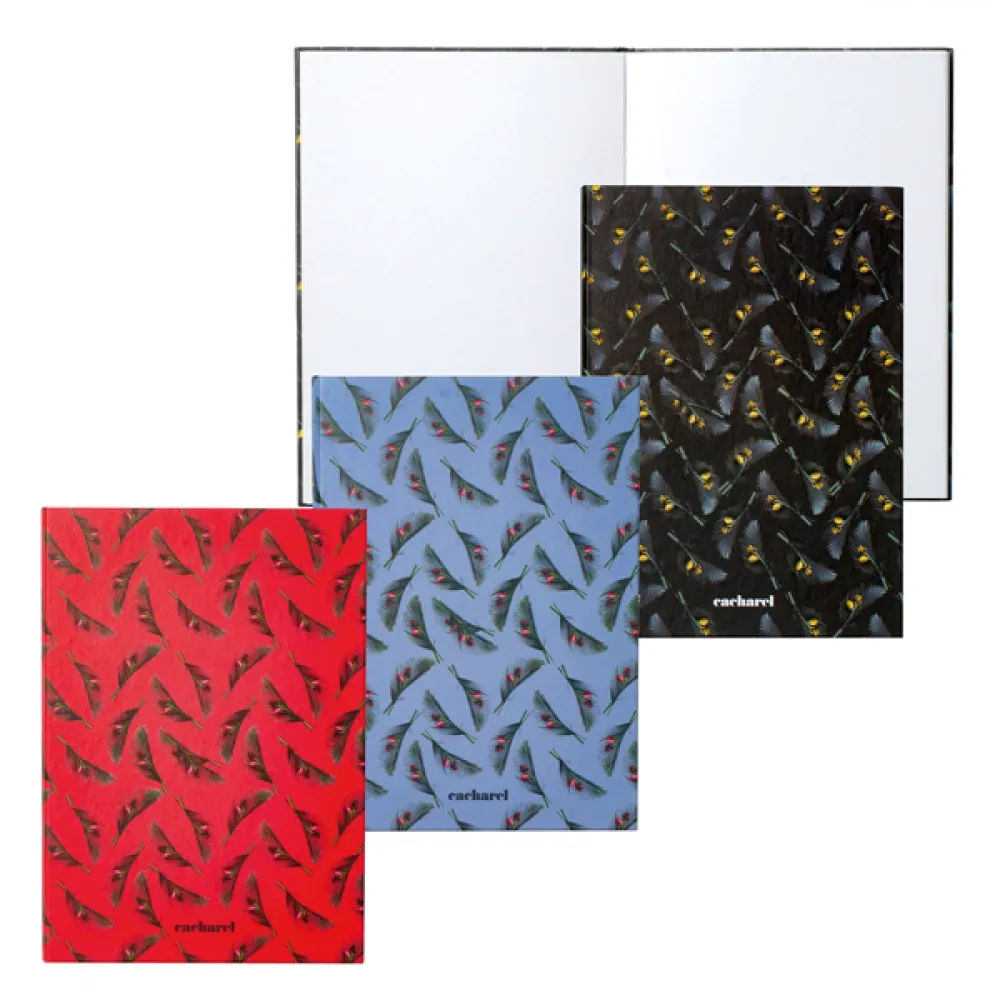 VICTOIRE. Kit 3 cadernos de capa dura COLORIDO