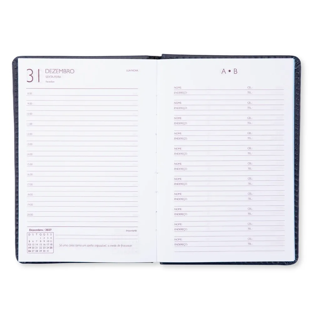 Agenda Diária 2027