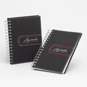Agenda diária 2024 Wire-o