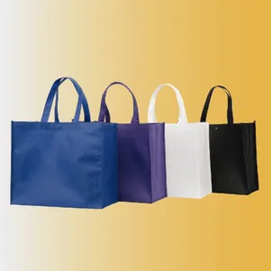 BG111 - Sacola TNT 35x20x30cm