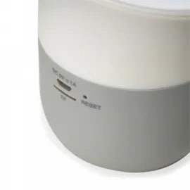 Miniatura de imagem do produto Caixa de Som com Carregador por Indução