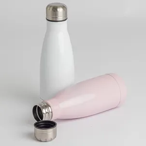 Garrafa 540ml Inox