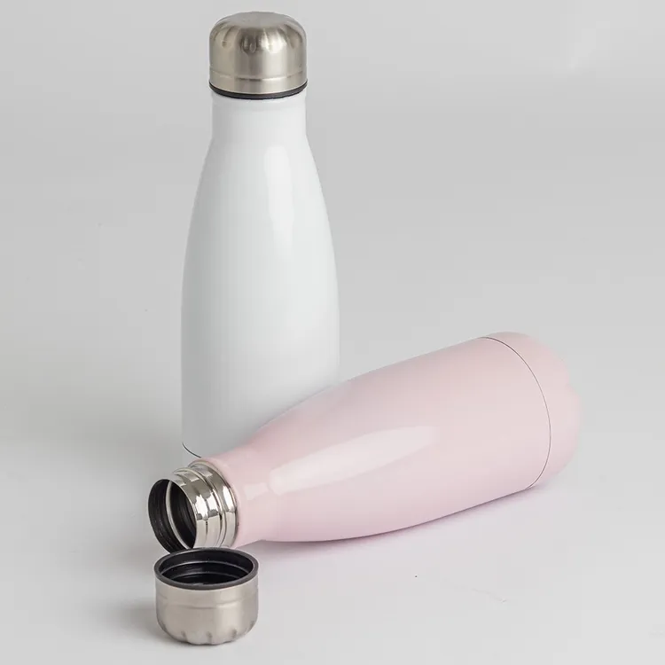 Garrafa 540ml Inox