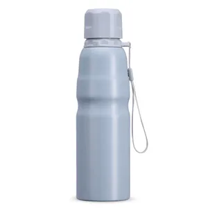 Garrafa Inox 800ml